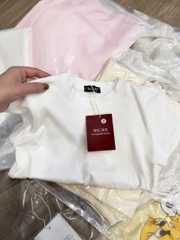 A495-Áo thun cộc tay WE 3 màu chất cotton mát