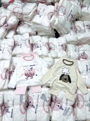 CB388-Combo 2 bộ thun díp dài tay bé gái hồng be