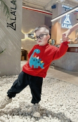 Bn133- (9-26kg) Bộ nỉ dài tay bé trai khủng long đỏ vây lưng VNXK