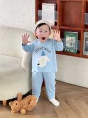 BT698-Bộ thun lạnh 3 màu họa tiết in TRẮNG-XANH-NÂU