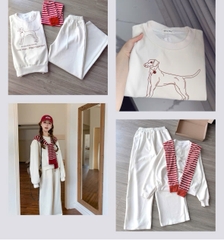 SET747- SET áo nỉ dài tay phối quần suông tặng kèm khăn rời