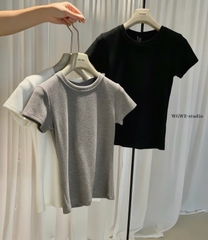 A495-Áo thun cộc tay WE 3 màu chất cotton mát