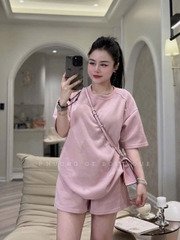 SET498- Bộ cộc trơn cổ tròn chất mì hàn thêu tag ngựa
