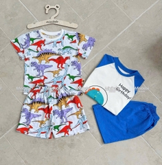 Bt578- Combo 2 bộ KL cotton màu sắc phối dáng cộc