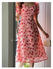 Đầm hoa  hoa hồng cổ V 2 lớp bắn  cúc ngọc