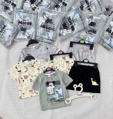 CB214-Com bo 3 bộ thun cộc tay bé trai hoạ tiết khủng long xám