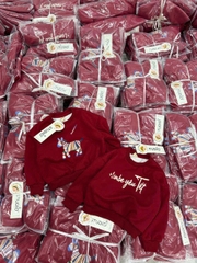 A454-Áo nỉ đỏ gia đình Tết con ngựa