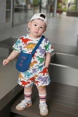 Bt578- Combo 2 bộ KL cotton màu sắc phối dáng cộc