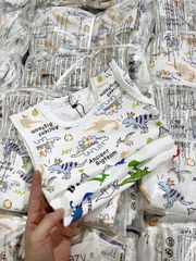CB340- Combo 3 áo balo in khủng long chất cotton xược