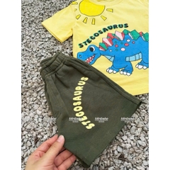 BT544- Bộ áo cotton Stego mix quần nỉ màu rêu