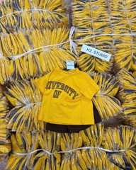 BT456- Bộ ao cotton Unive vàng mix quần cua màu nâu