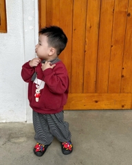 Bt751- bộ Cún tai nổi quần kẻ 3 màu chất nỉ haida