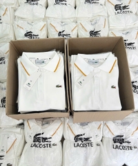 A308- Áo polo trắng  cổ viền vàng logo thêu nổi