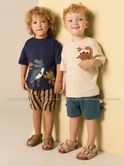 CB290- combo 2 bộ khủng long vây phối màu bé trai