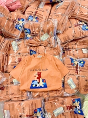 A313- Áo thun mảu cam đất cotton mát