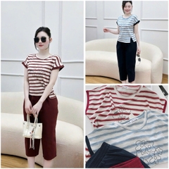 Set729-Set mặc nhà áo thun giấy phối quần lửng pha gió cạp chun