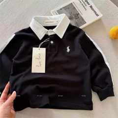 BT1031: Combo 3 áo thun polo dài tay thêu ngựa
