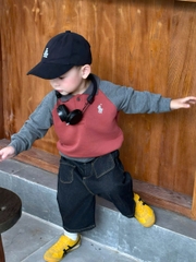 Bt672- Combo 3 áo polo ngựa thêu màu đẹp