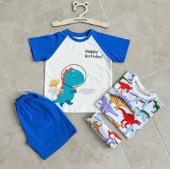 Bt578- Combo 2 bộ KL cotton màu sắc phối dáng cộc