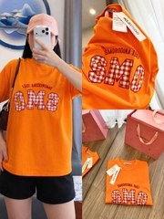 A503-Áo thun suông thêu màu xam nổi bật