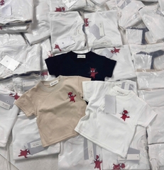 CB243- Combo 3 áo cotton NHỆN trẻ em in lưng