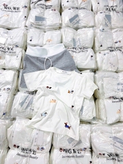 Set693- Bộ cotton CÚN quần trơn dáng cộc áo in