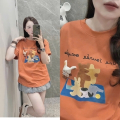 A313- Áo thun mảu cam đất cotton mát