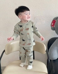 CB371-COmbo 3 bộ thun dài tay bé trai khủng long