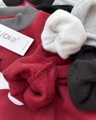 Bt751- bộ Cún tai nổi quần kẻ 3 màu chất nỉ haida