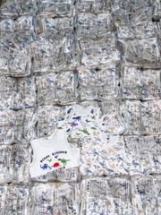 CB340- Combo 3 áo balo in khủng long chất cotton xược