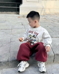 BT748-Bộ nỉ haida bé trai áo xám in phối quần bo ống