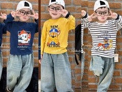 bt799- Combo 3 áo cotton bé trai minibebe hoạ tiết in