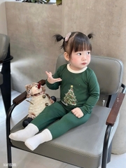 Bt770- Combo 2 bộ zip Noel xanh-đỏ dài tay hoạ tiết in