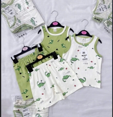 CB299-Combo 2 bộ ba lỗ khủng long biên xanh trắng chất cotton