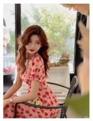 Đầm hoa  hoa hồng cổ V 2 lớp bắn  cúc ngọc