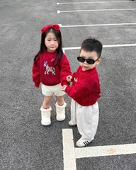 A454-Áo nỉ đỏ gia đình Tết con ngựa