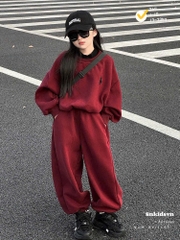 [Max 39kg] Bt742- Bộ nỉ hai da mau đỏ thêu ngựa dáng dài