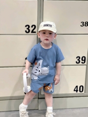 BT898-Combo 2 bộ KHỦNG LONG CỔ DÀI cộc tay cotton bé trai