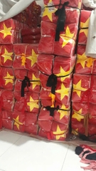 Khăn quàng đỏ sao vàng