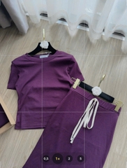 Set701- Set zip tím trơn áo crop mix C.V midi ôm dài