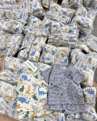 CB306-Combo 2 bộ cotton KHỦNG LONG MÀU in full cộc tay