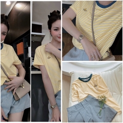 Set606- SET BỘ KẺ ÁO KẺ VÀNG PHỐI THÊU 🌿