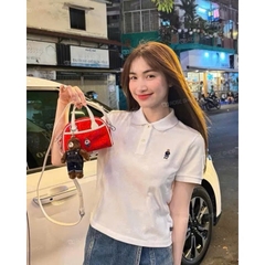 A574-Áo polo trắng thêu gấu hàng nhà máy đủ tem