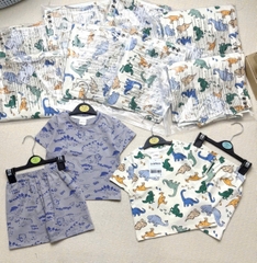 CB306-Combo 2 bộ cotton KHỦNG LONG MÀU in full cộc tay