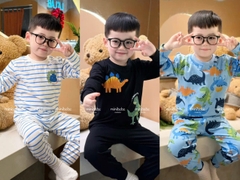 Bt784- combo 3 bộ dài tay cotton bé trai khủng long kẻ xanh