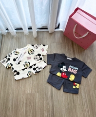 BT961- Combo 2 bộ cotton cộc Mikey xám be cho bé