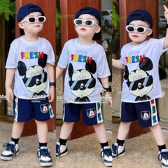 bT592- Bộ mèo kính đen trắng quần phối chất cotton bé trai