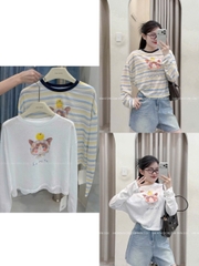 A655-Combo 2 áo thun giấy dài tay