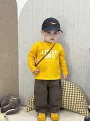 Bt676- Combo 4 áo phông dài tay chất cotton in xanh-vàng