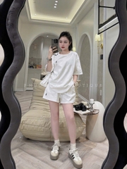 SET498- Bộ cộc trơn cổ tròn chất mì hàn thêu tag ngựa